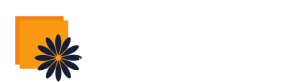 Logo Daniela Pulizie Impresa di pulizie professionali a Milano